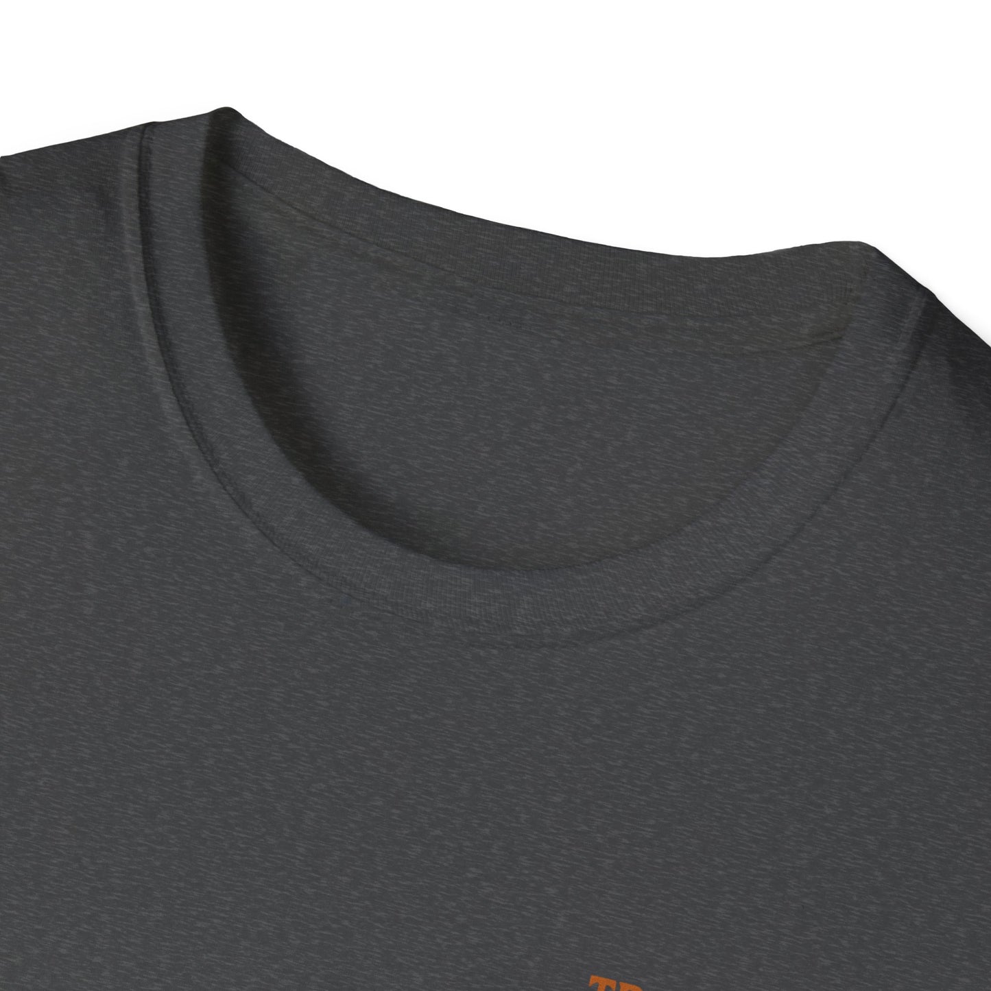 Adventure Awaits Unisex Softstyle T-Shirt - 'Four Walls Are Overrated' Camp Vibe Tee